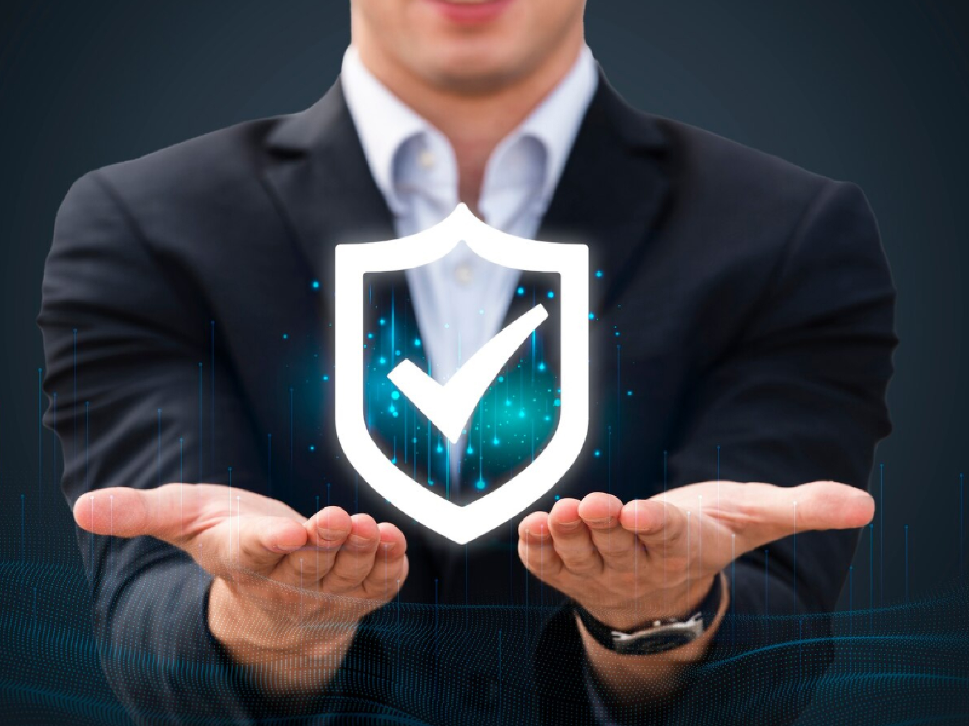 Seguridad garantizada